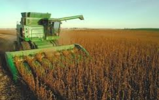 Reporte: Empresarios de tres países dominan la agroindustria en Bolivia