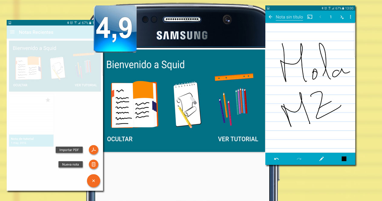 Montaje de la aplicación Squid