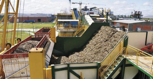 En junio iniciará operaciones Aguaí, con capacidad de producción de 1 millón de quintales de azúcar