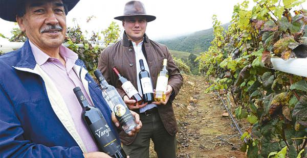 El vino es producido con uva cultivada a 1.750 m.s.n.m.