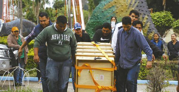 Expertos en el cuidado de animales estarán pendientes del animal
