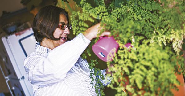 Ama y cuida de sus plantas Donde tiene su departamento, hay un hermoso jardín lleno de flores que da la bienvenida. Pero dentro de su casa cuenta con varias macetas con bellísimos helechos colgantes y plantas a las que cuida y riega a diario con mucho amo