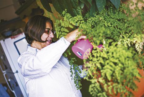 Ama y cuida de sus plantas Donde tiene su departamento, hay un hermoso jardín lleno de flores que da la bienvenida. Pero dentro de su casa cuenta con varias macetas con bellísimos helechos colgantes y plantas a las que cuida y riega a diario con mucho amo