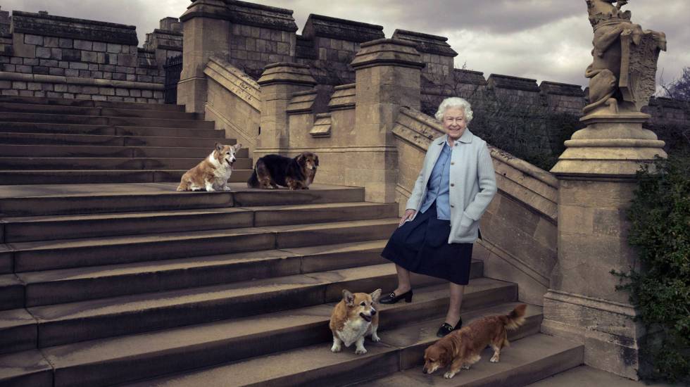 La reina de Inglaterra, con su perros, fotografiada por Annie Leibovitz. La reina de Inglaterra, con su perros, fotografiada por Annie Leibovitz.
