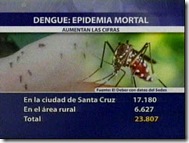 DENGUE-Mosquito