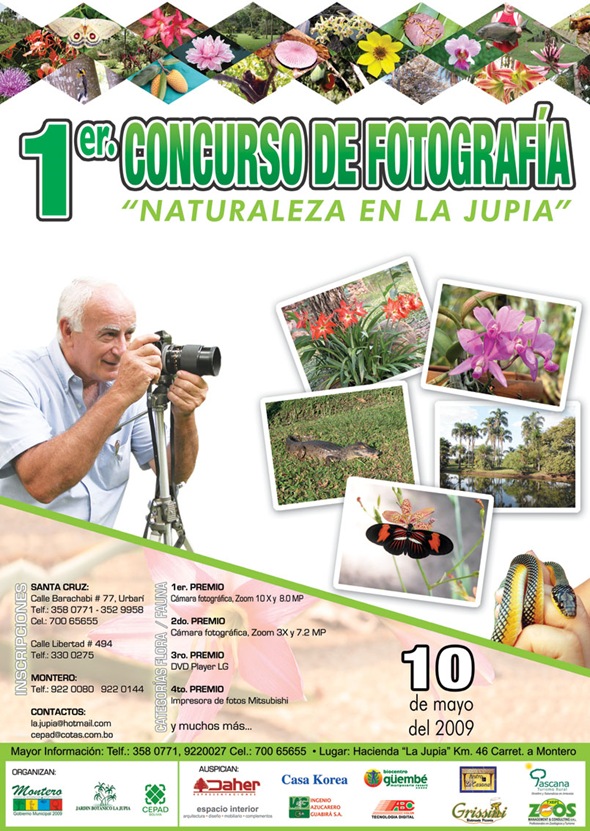 Afiche concurso