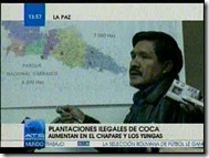 PLANTACIONES-Coca 2