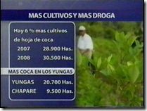 crecencultivosdecoca8