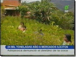 20miltoneladasdecocaausoilicito