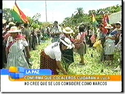 cocalerosresguardaranalula