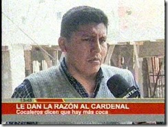 cocalerosdeyungasadmitencrecimientodecocales
