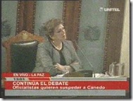 DIPUTADOSsesionantemacanedo1