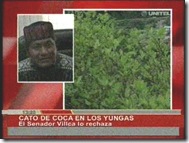 LINOVILLCAcatodecocaenlosyungas