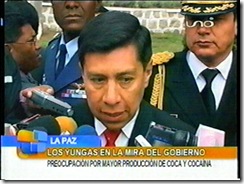 WALKERSMIGUELcontroldeplantacionesenlosyungas1