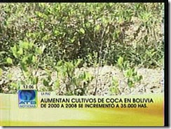 COCA-Cocales