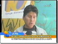 COCALEROSenemergenciaporerradicación