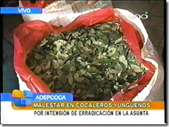 RAMIROSANCHEZcocoalerosenemergencia1