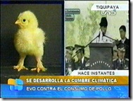 EVOdicenocomerpollo