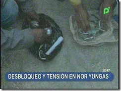 CARANAVIdesbloqueoposible3