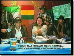 DIPUTADOsindigenasenhuelgadehambreporescaños1