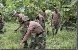 ERRADICADORESyaseencuentranenlaasunta