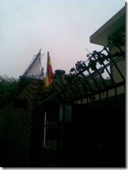 bandera