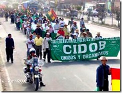 cidob_indigenas_bolivia