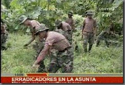 ERRADICADORESyaseencuentranenlaasunta