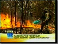 NARCOTRAFICOyECONOMIA3