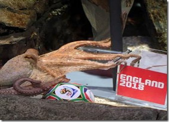 Paul_Pulpo