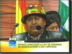 SENADOapruebaengrandeleydeaduanas