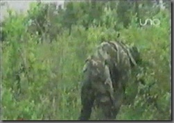 NARCOTRAFICOminicumbreenelchapareporerrdicación3