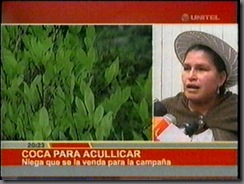 cocaparacullicarleonildazurita