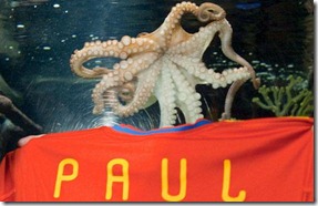 pulpo