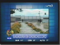 CHONCHOCORObalaceraunmuerto1