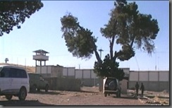 CHONCHOCOROreosenhuelga