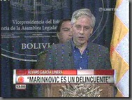 ALVAROLINERAmarinkovicesundelincuente