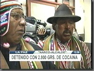 YESIDMAMANI-COCA 2