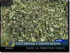 COCAdesplazaafrutales