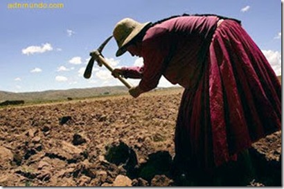 AGRO