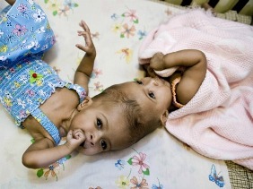 68ba96f50370b27ec4471fb7d7791dfc_int470