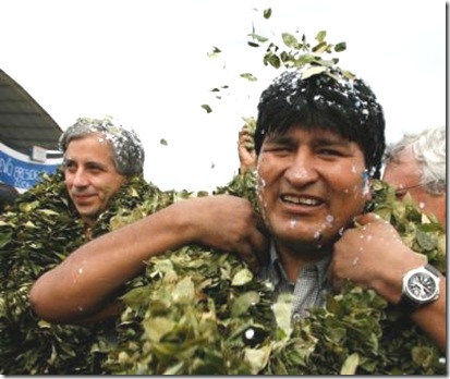 BOLIVIA COCA 