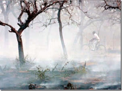 humo-chaqueo