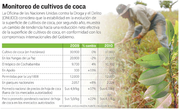 ONU-Gobierno: Cultivos No Aumentaron Con Evo; La Coca Se Extiende A ...