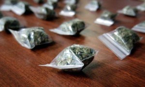 marihuana-480-300x180