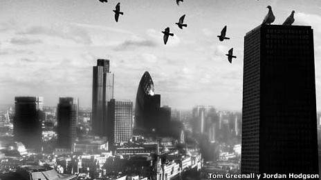 120131115950_tom_greenall_y_jordan_hodgson__464x261_tomgreenallyjordanhodgson