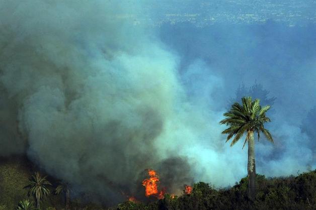 05-febrero-2012-14-39-00-incendio-forestal-cubre-de-humo-cielo-de-valparaiso-y-vina-del-mar-en-chile_detalle_media