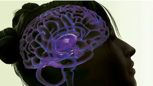 120203041705_addiction_brain_304x171_na_nocredit