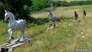 120209174614_zebras_model_304x171_ghorvath