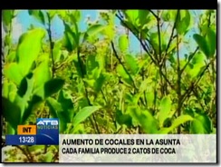 vigiliatacobo17